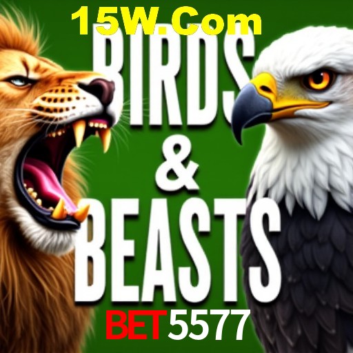 Explorando a Categoria de Eventos em Apostas na Bet5577